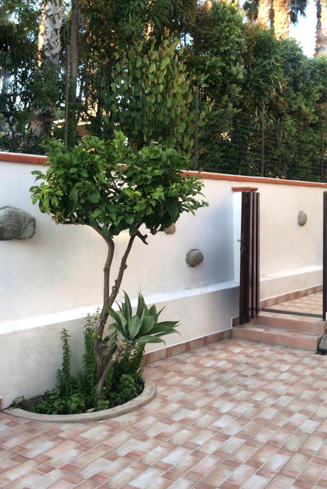 La Turrita Apartments Forio di Ischia エクステリア 写真